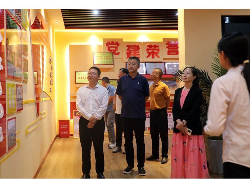 清華大學新能源學科專家團蒞臨大方調(diào)研指導工作